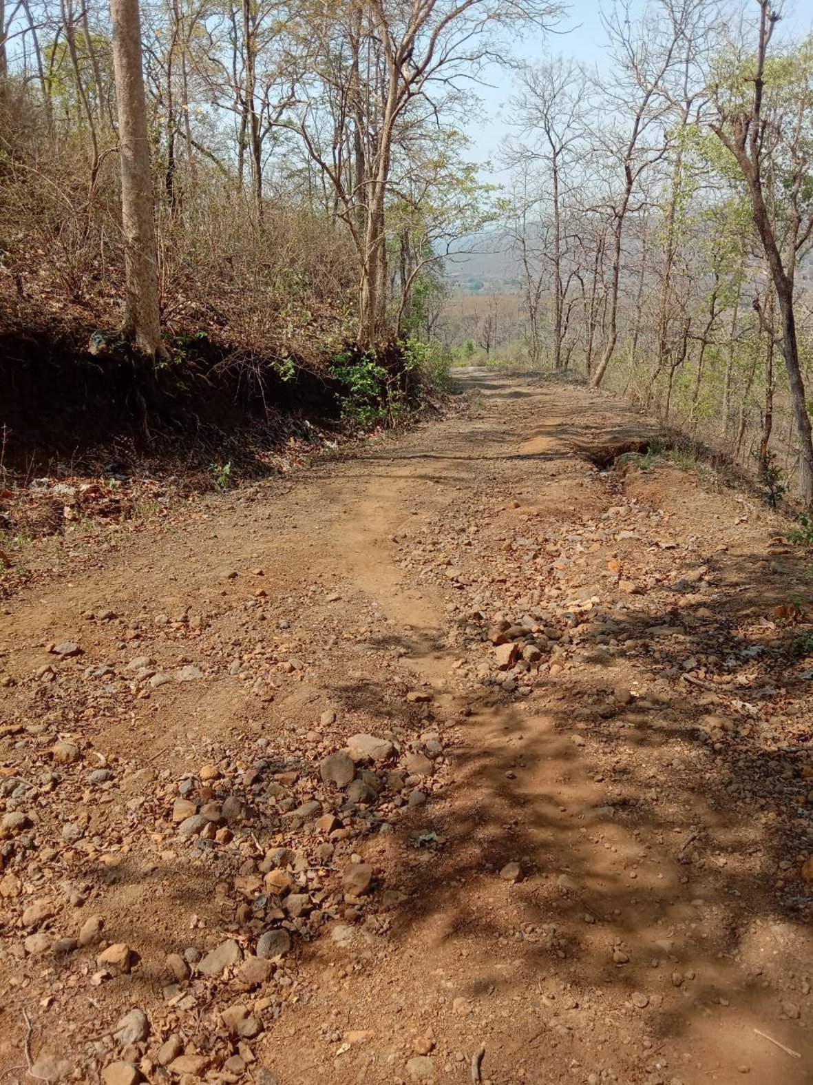 Village Khudri access road becomes dangerous, Janani Express unable to reach village