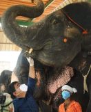 इंजेक्शन से डर लगता है डॉक्टर अंकल..............