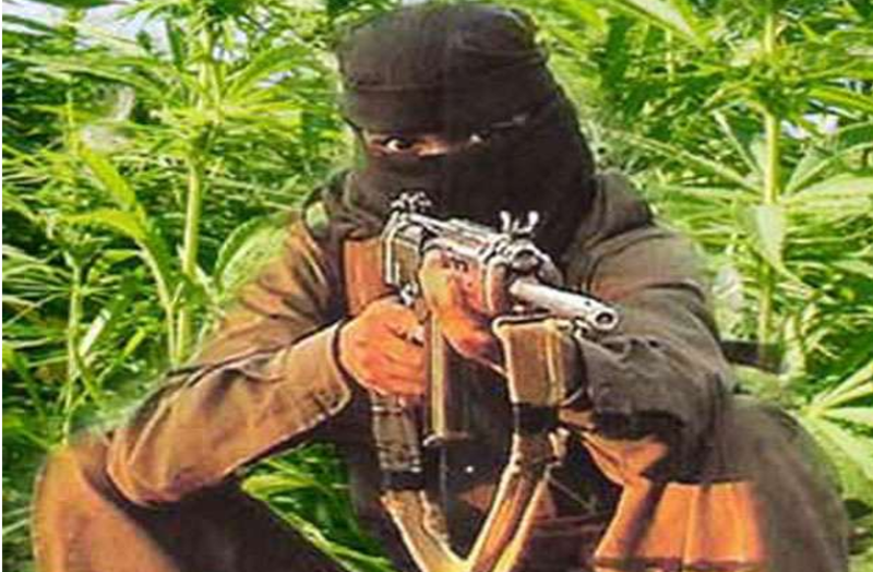 महिला नक्सली कमांडर गिरफ्तार, गोलीबारी और विस्फोट करने में हैं माहिर