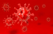 Wife corona infected,husband run away his child