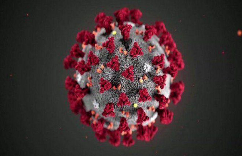 Coronavirus: भावनगर में कोरोना से एक और मौत, तीन नए पॉजिटिव मामले