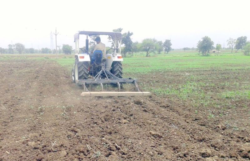 एक महीने में आती है बीजों की जांच रिपोर्ट, इससे पहले ही किसान कर देते है बोवनी