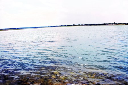 kanhargown_dam.jpg