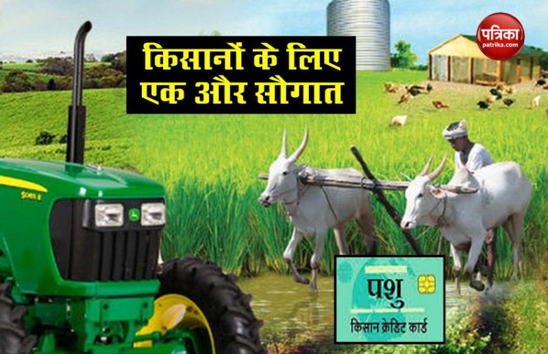 pashudhan credit card yojana