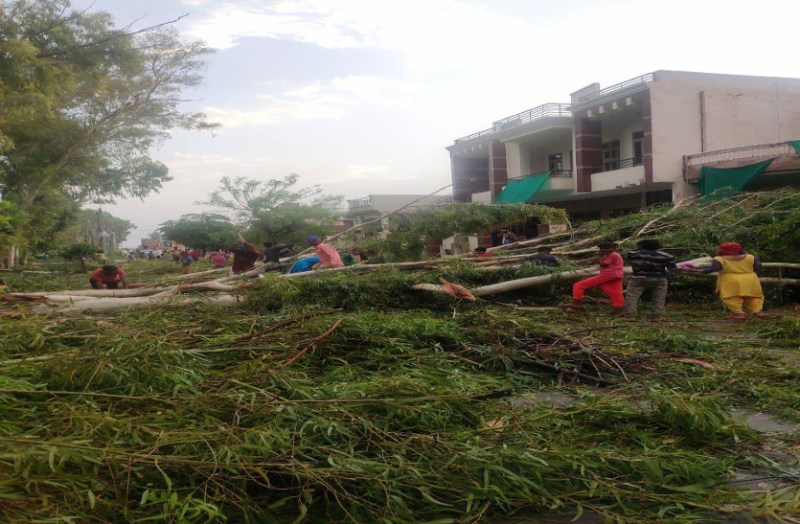 कुंज विहार कॉलोनी में सफेदा का पड़े गिरा,कोई जनहानि नहीं हुई