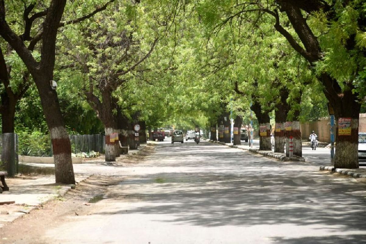 सूनी सड़क