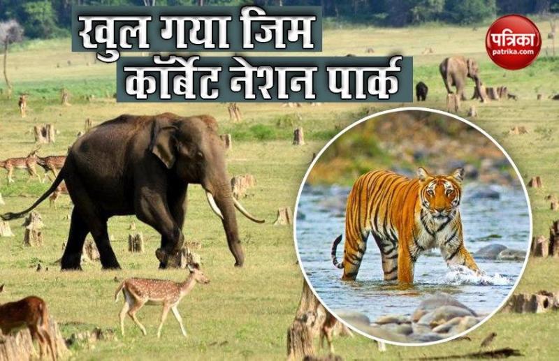 Jim corbett National park Open for Tourist