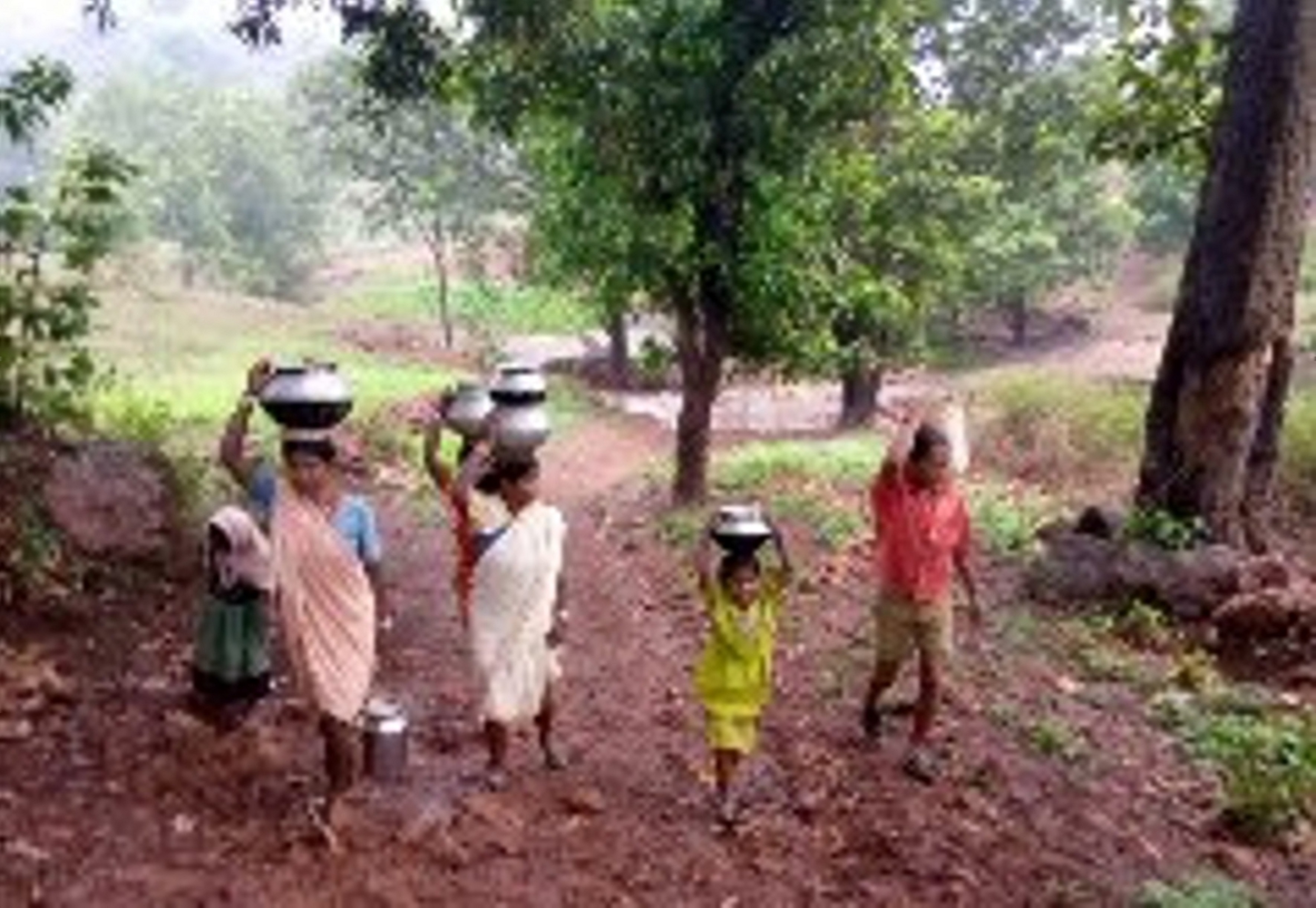 There is no hand pump or well in the village, villagers drink water from Jhiriya