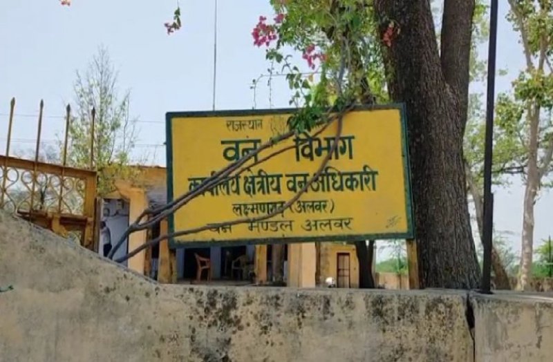 Alwar Hunters Absconded From Forest Department Office