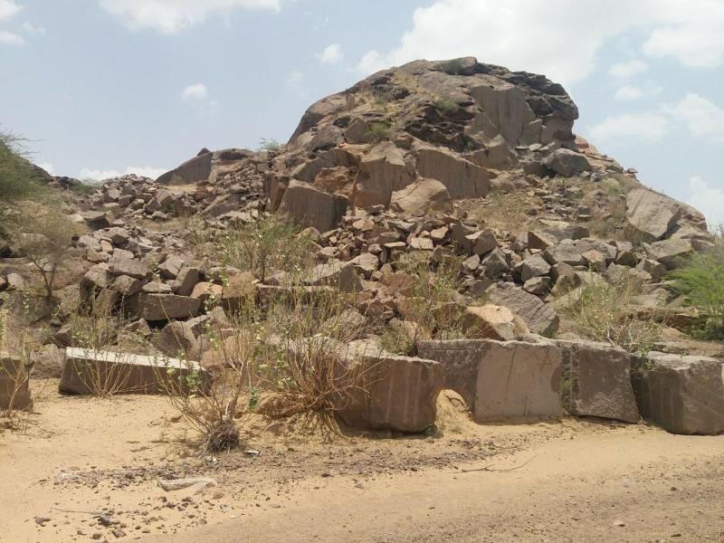 China's vulture sight is not on the treasure stone of Siwana