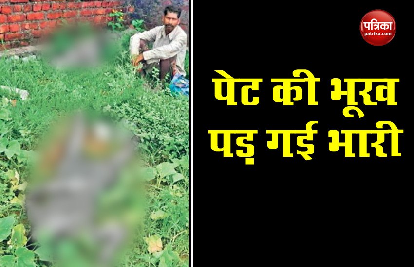 बच्चों की जिद पर मां-बेटी दीवार फांदकर तोड़ने गई थी सब्जी, वहां लगा था करंट, हाथ में कद्दू व तोरी लिए तोड़ा दम