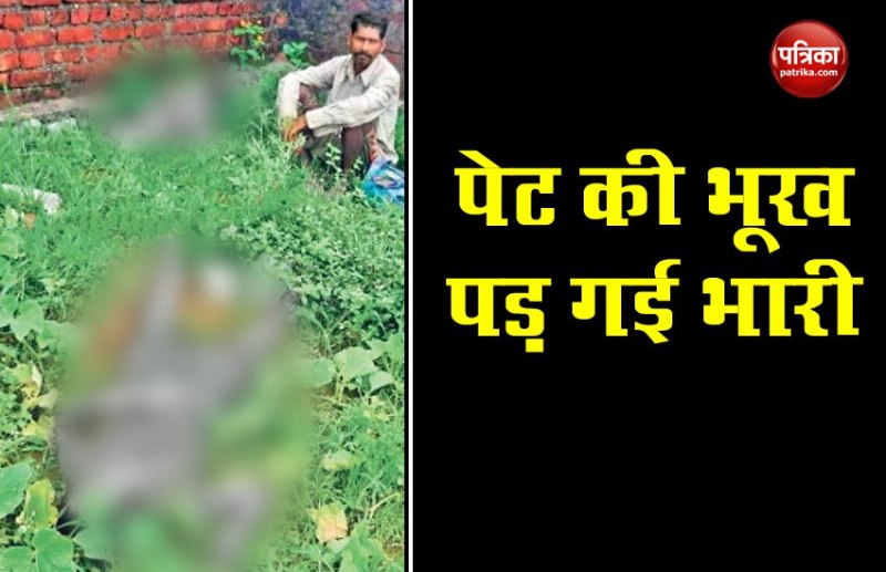 बच्चों की जिद पर मां-बेटी दीवार फांदकर तोड़ने गई थी सब्जी, वहां लगा था करंट, हाथ में कद्दू व तोरी लिए तोड़ा दम