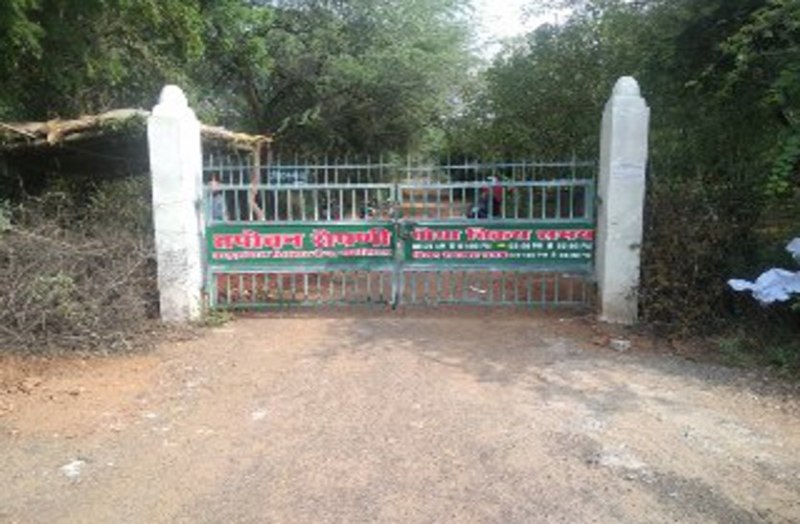 54 प्रजाति के 4 लाख पौधे तैयार, कोविड-19 के बाद तपोवन घूमने का मिलेगा मौका