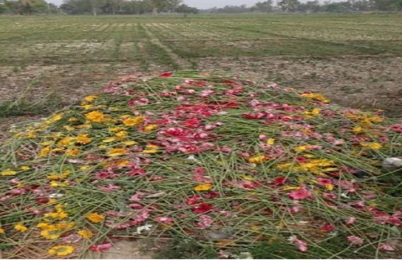 nashik news: मंदिर, मस्जिद और गुरुद्वारे बंद, किसे बेचें फूल?