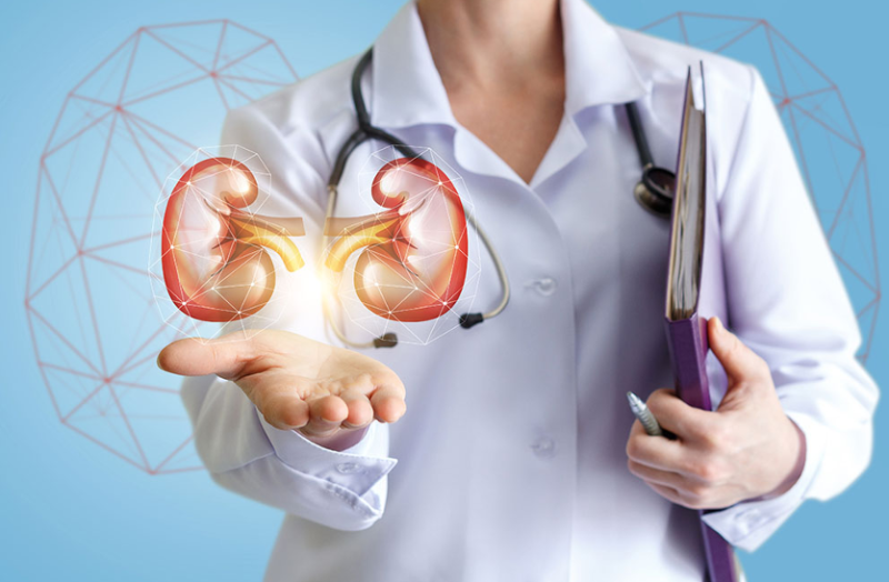 इन आयुर्वेदिक उपाय से किडनी को बना सकते हैं मजबूत