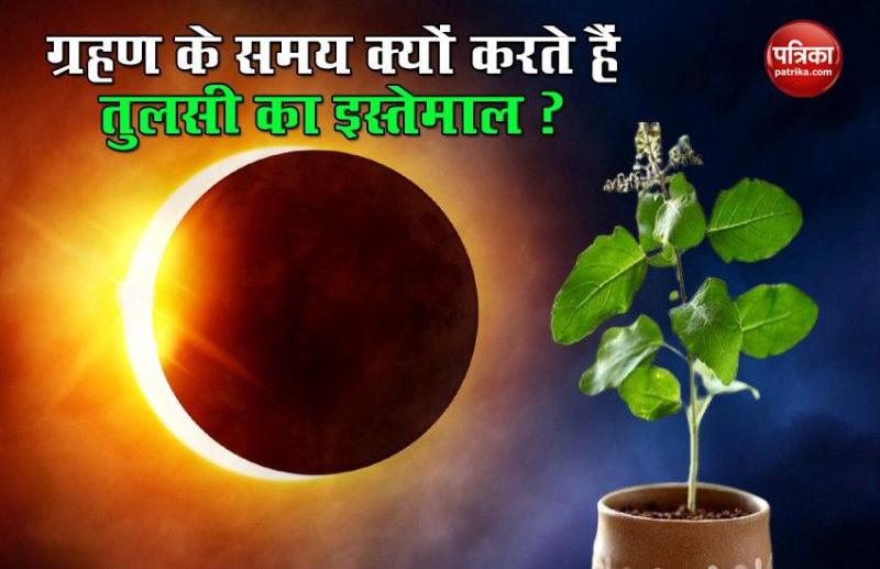 solar eclipse 2020 why tulsi leaves are used in eclipse