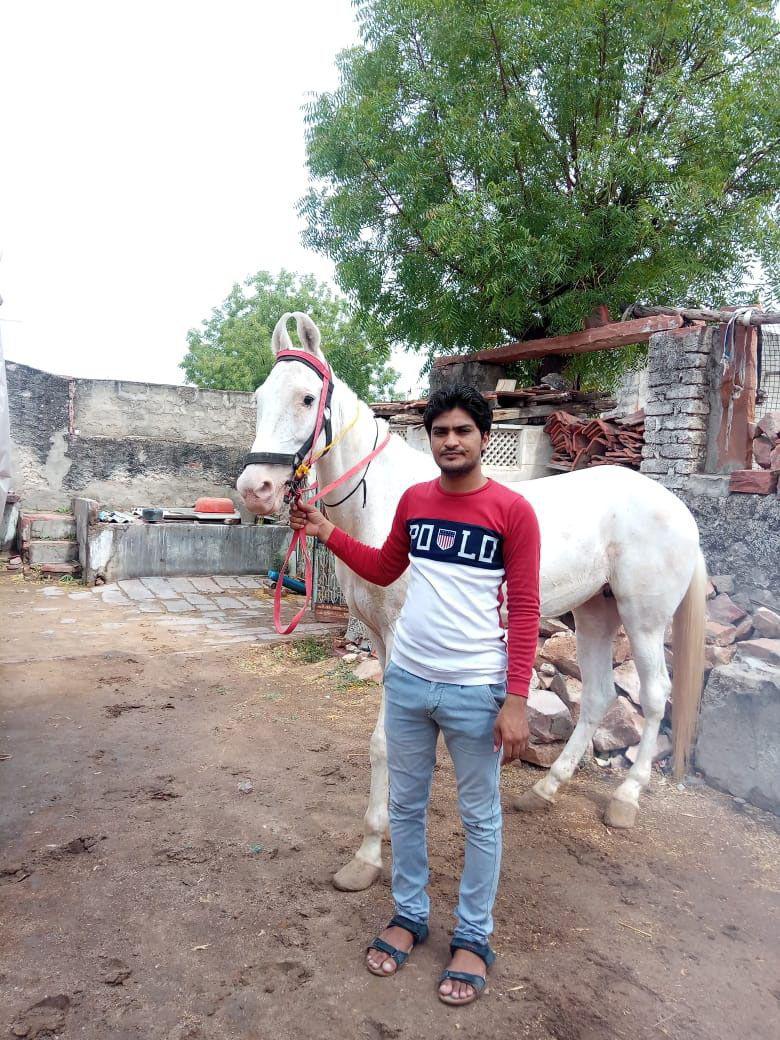 Covid - 19 : Horses are eating straw