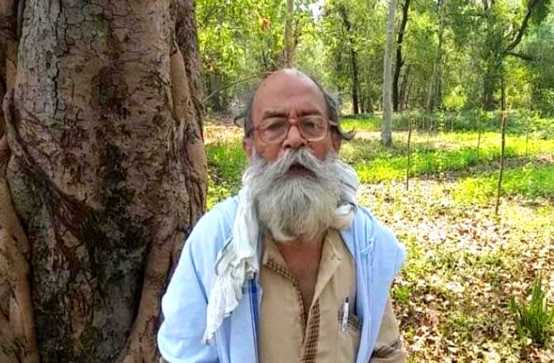 Father's Day: ये हैं छत्तीसगढ़ में एक लाख पेड़ों के पिता गेंदलाल, ऐसे बुजुर्ग ट्री-मेन का प्रकृति से प्यार बन गया जुनून