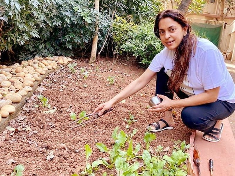 जूही चावला भूमिहीन किसानों को अपने फार्म पर खेती के जरिए रोजगार दे रहीं