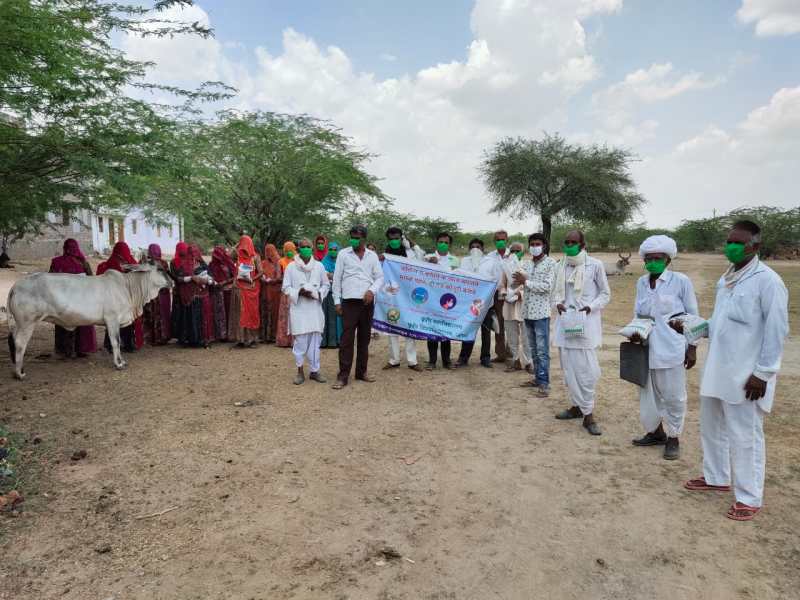 लूणी में निशुल्क वितरित किए बाजरा के बीज