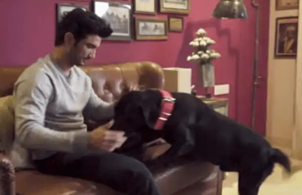 know Reality about sushant singh rajput dog fudge death news