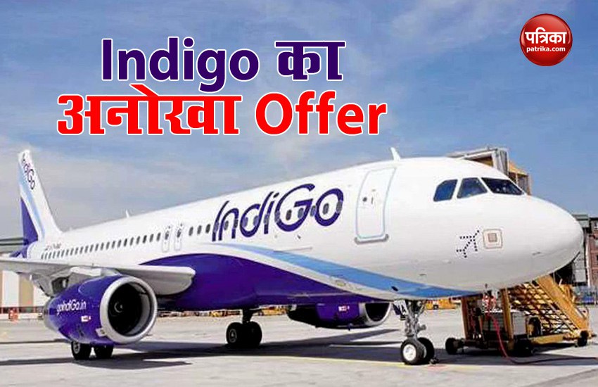 Indigo Offers