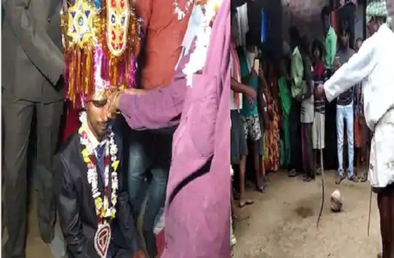 यह घटना किसी डरावनी फिल्मी कहानी जैसी है, सुहागरात के दिन सांप ने डस लिया