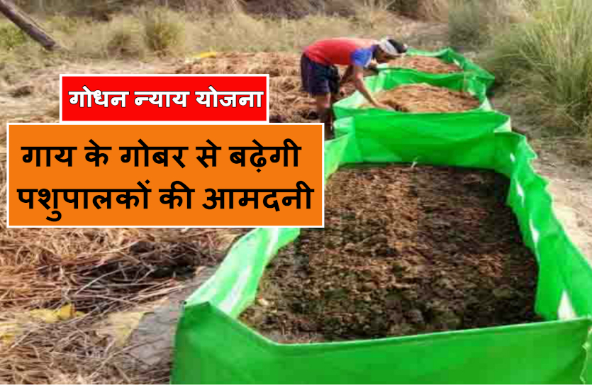 cg_godhan_nyay_yojana.jpg