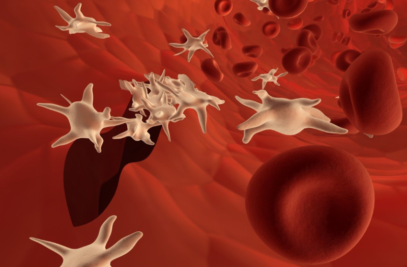 इन चीजों के सेवन से तेजी से बढ़ती है प्लेटलेट्स