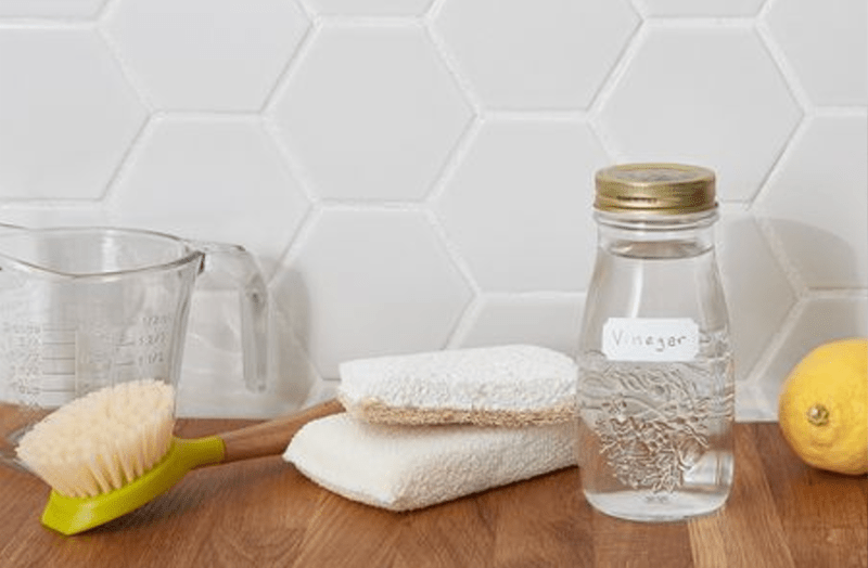 बैक्टीरिया, वायरस व लार्वा नाशक है वाइट विनेगर, एेसे करें इस्तेमाल