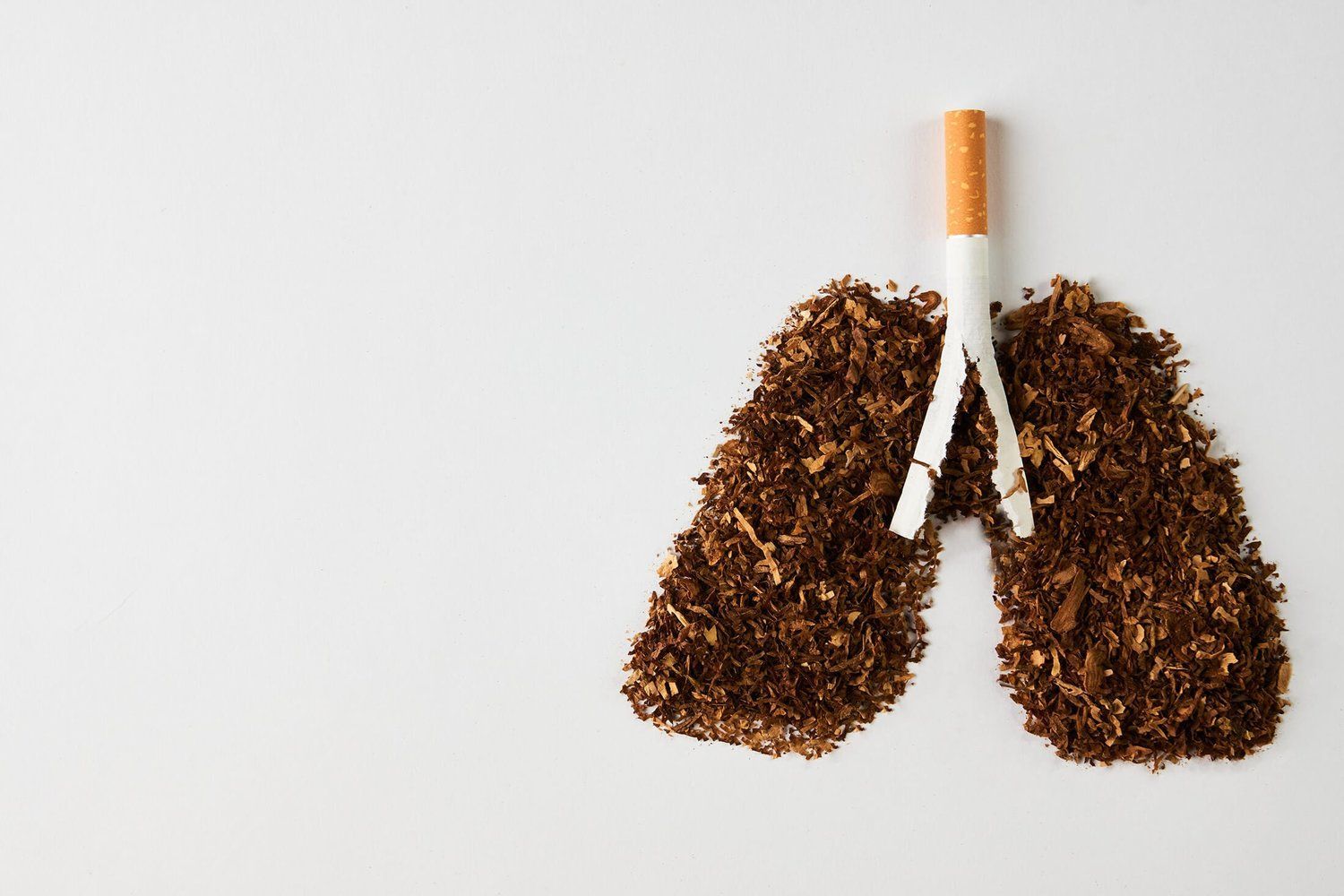27 जून विशेष : वैज्ञानिकों ने दावा किया था की धूम्रपान से होता है फेफड़ों का कैंसर