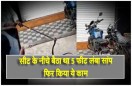 सीट के नीचे बैठा था 5 फीट लंबा सांप,फिर किया ये काम