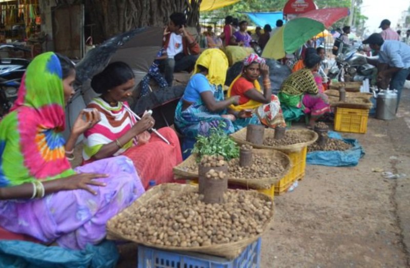 यहां मिलती है देश की सबसे महंगी सब्जी 'बोड़ा', कीमत जानकर उड़ जाएंगे आपके होश