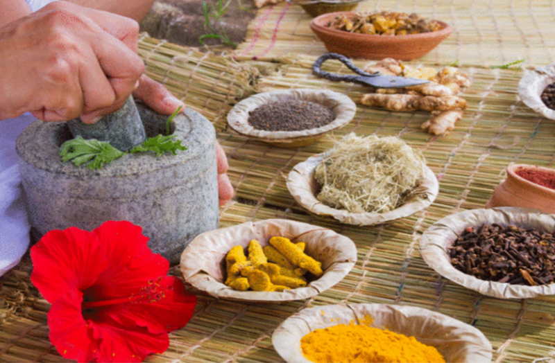 शरीर की इम्यूनिटी बढ़ाने में कारगर हैं ये जड़ी-बूटियां