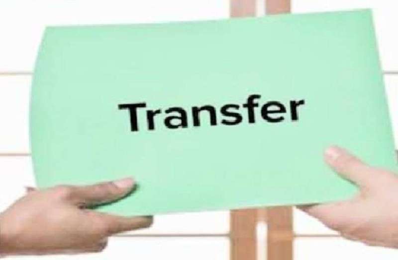 transfer_.jpeg