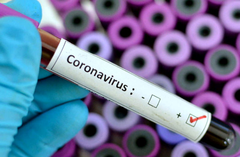 New patient in Simri contact, two sons of old lady came positive in Ha