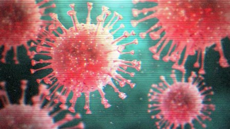 Corona Virus