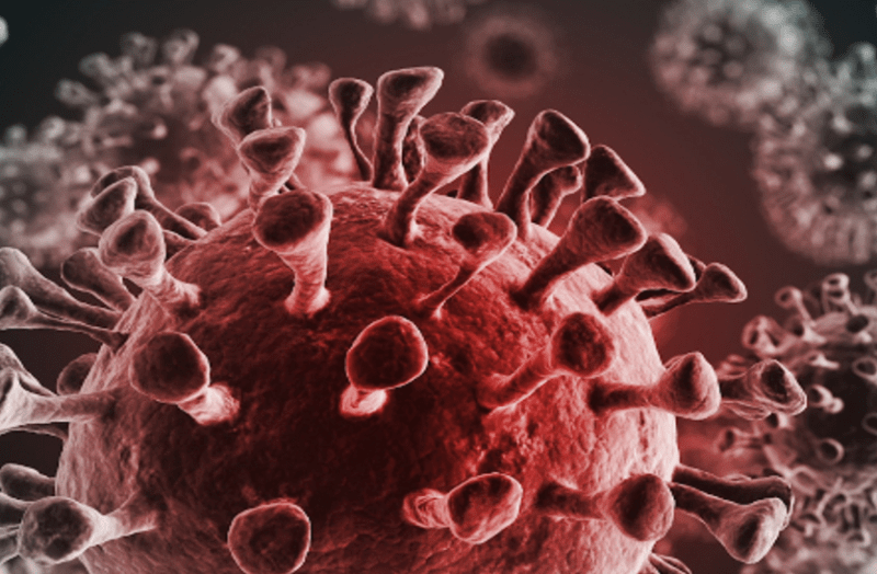 नियम तोड़ दिल्ली से गांव आया Coronavirus पॉजिटिव, यूं खुली पोल, पूरा परिवार हो गया फरार