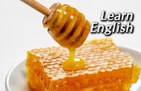 english, Education, learn english, education news in hindi, toefl, education tips in hindi, how to learn english, 