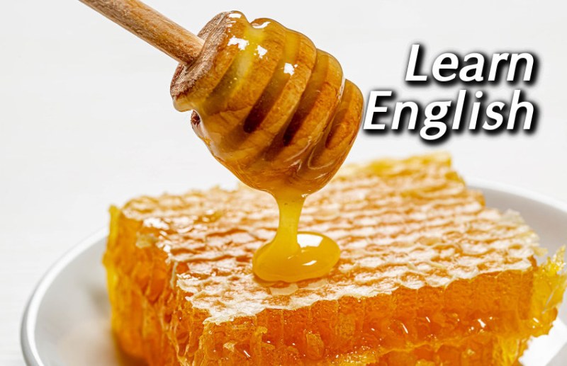 english, Education, learn english, education news in hindi, toefl, education tips in hindi, how to learn english,
