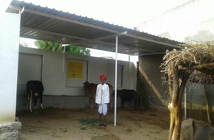 Animals also got shelter from MNREGA in bhilwara