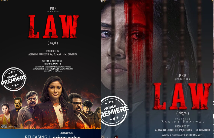 'लॉ' की अभिनेत्री रागिनी चंद्रन ने इस वजह से भरी थी फिल्म के लिए हामी