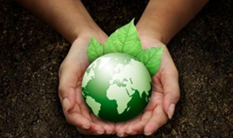 organic farming--- ग्लोबल वार्मिंग के बढ़ते प्रभाव व रसायन के प्रयोग से इम्यूनिटी हुई कमजोर