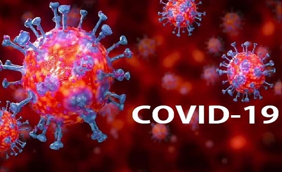 rajasthan corona recovery rate, Coronavirus Outbreak