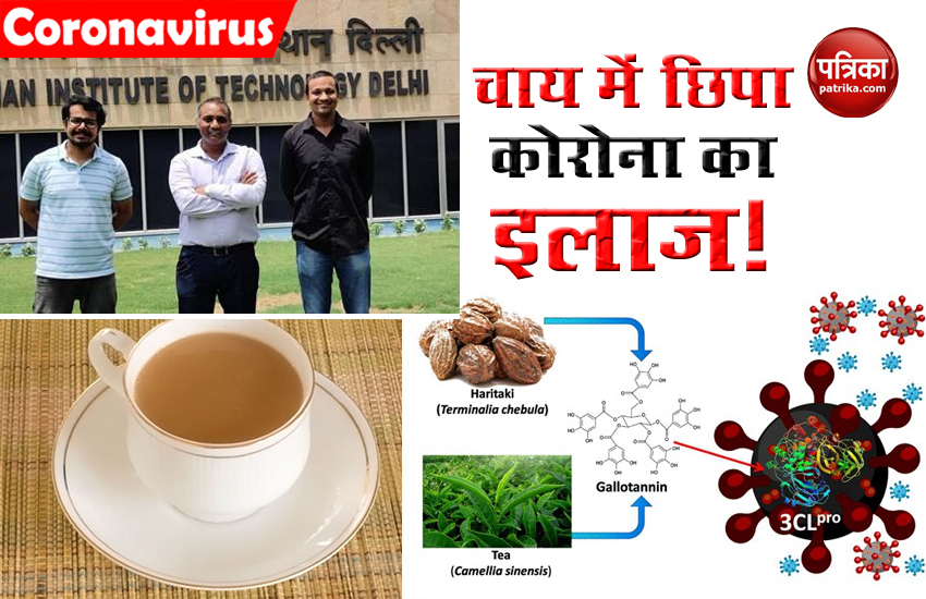 IIT Delhi Researchers finds, Tea-Myrobalan could be effective in COVID-19 treatment 