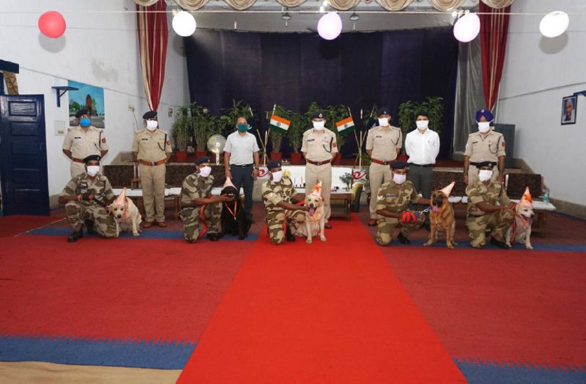 यहां डॉग को मिलता है सैनिक का सम्मान, क्योंकि वे करते हैं जवानों सी कठिन ड्युटी