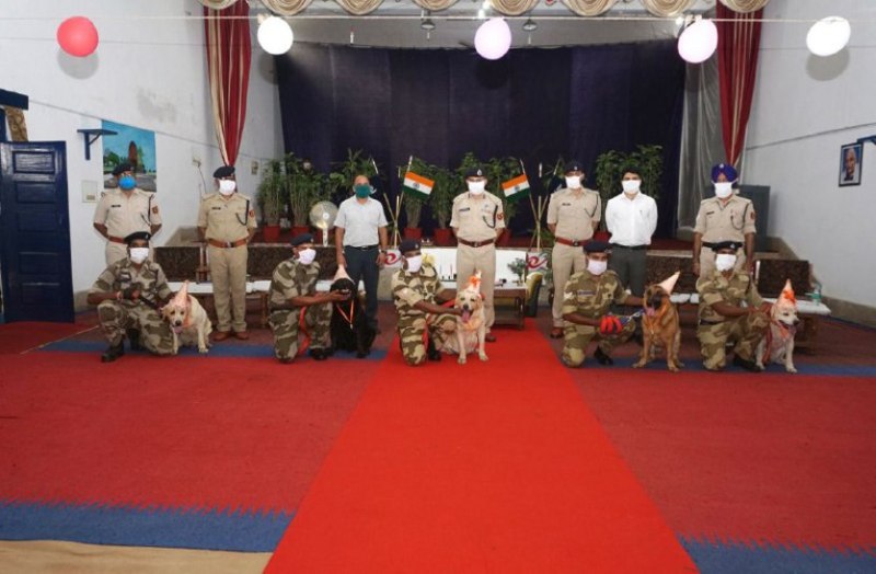 यहां डॉग को मिलता है सैनिक का सम्मान, क्योंकि वे करते हैं जवानों सी कठिन ड्युटी