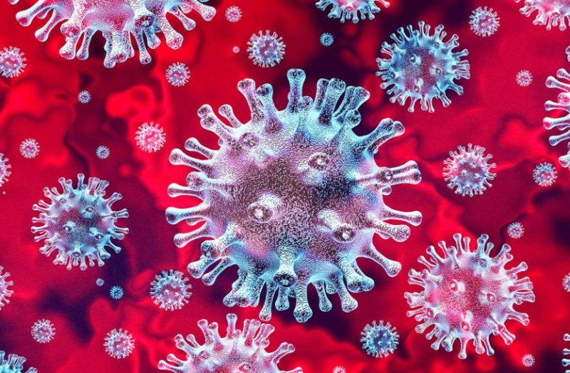 Coronavirus: 30 new positive cases in gwalior