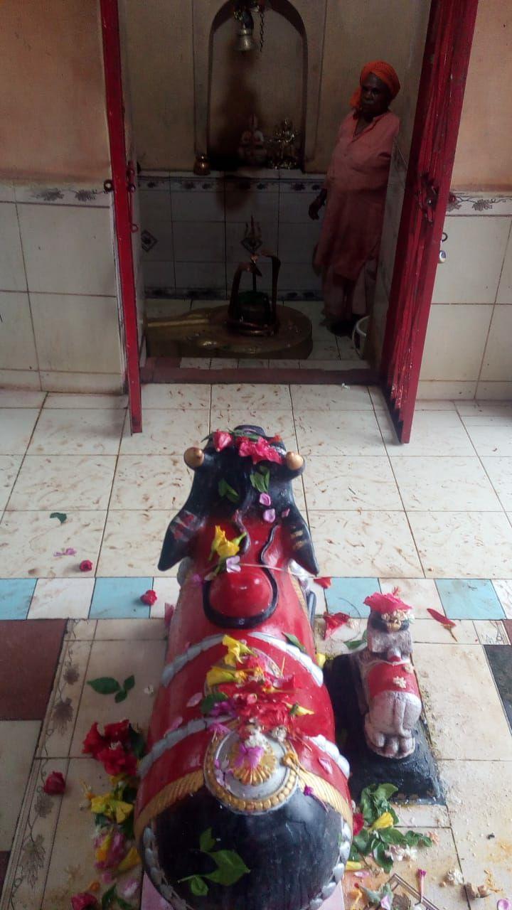 Jaleshwar Dham Mahadev will be Jalabhishek from mother Narmada origina