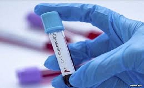 Coronavirus Cases Rajasthan, New Corona positive cases
